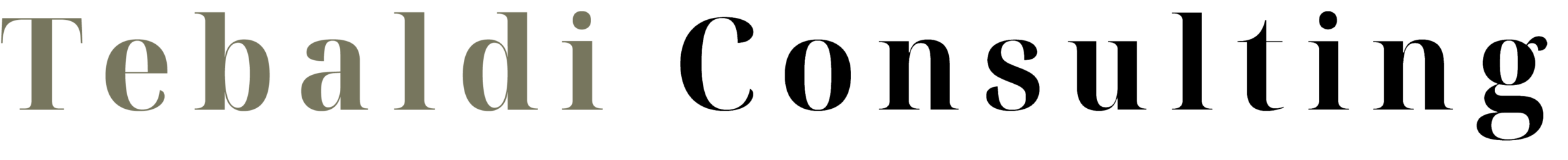 logo tebaldi consulting